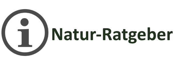 natur-ratgeber.com